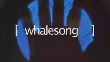 Free download [whalesong] 2020 Trailer video and edit with RedcoolMedia movie maker MovieStudio video editor online and AudioStudio audio editor onlin